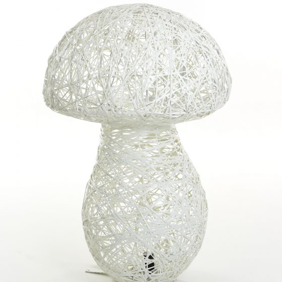 Champignon, structure 3D, fibre minérale