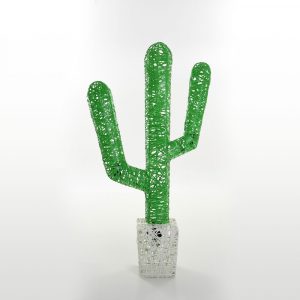 cactus-couleur-1-non-lum