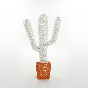 cactus-couleur-2-non-lum