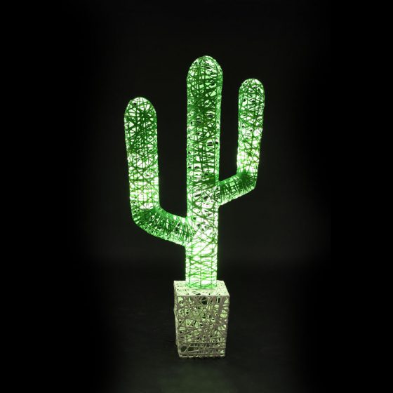 cactus fruits lumineux jardin