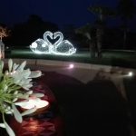 Décoration de mariage, Cygne 3D lumineux tissées en fibre minerale - location décoration lumineuse mariages