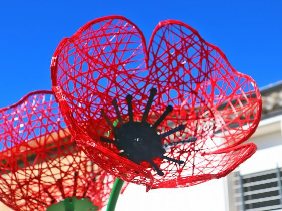 Solutions d'ombrage urbain